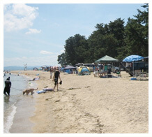 白ひげ浜 水泳・キャンプ場