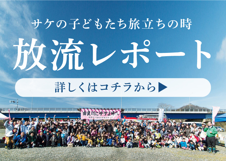 放流レポート 詳しくはコチラから