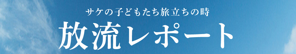 サケの子どもたち旅立ちの時 放流レポート