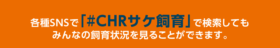 各種SNSで「#CHRサケ飼育」で検索してもみんなの飼育状況を見ることができます。