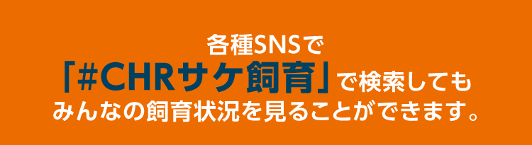 各種SNSで「#CHRサケ飼育」で検索してもみんなの飼育状況を見ることができます。