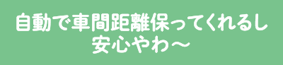 自動で車間距離保つし安心やわ?