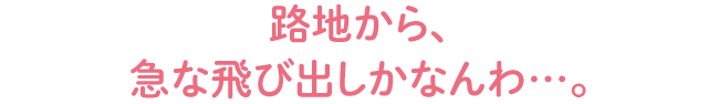 路地から、急な飛び出しかなんわ…。